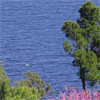 cours et stages amateurs et professionnels